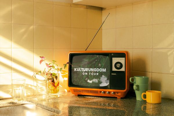 Digitalt hembesök från KulturUngdom?