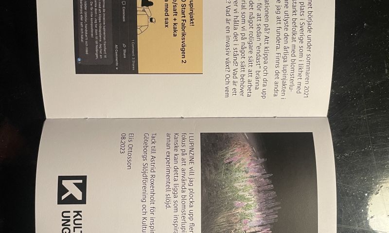 Ogräsbladet - En tidning om oönskade växter och experimentell slöjd
