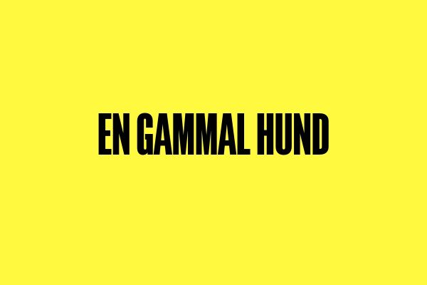 Poesi: En gammal hund