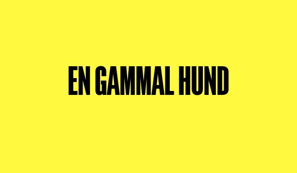 Text med ordet "En gammal hund" centrerat på gul bakgrund