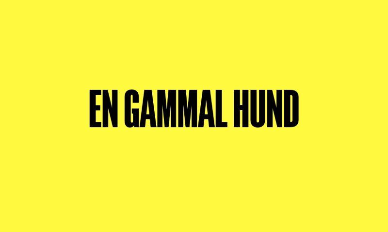 Text med ordet "En gammal hund" centrerat på gul bakgrund