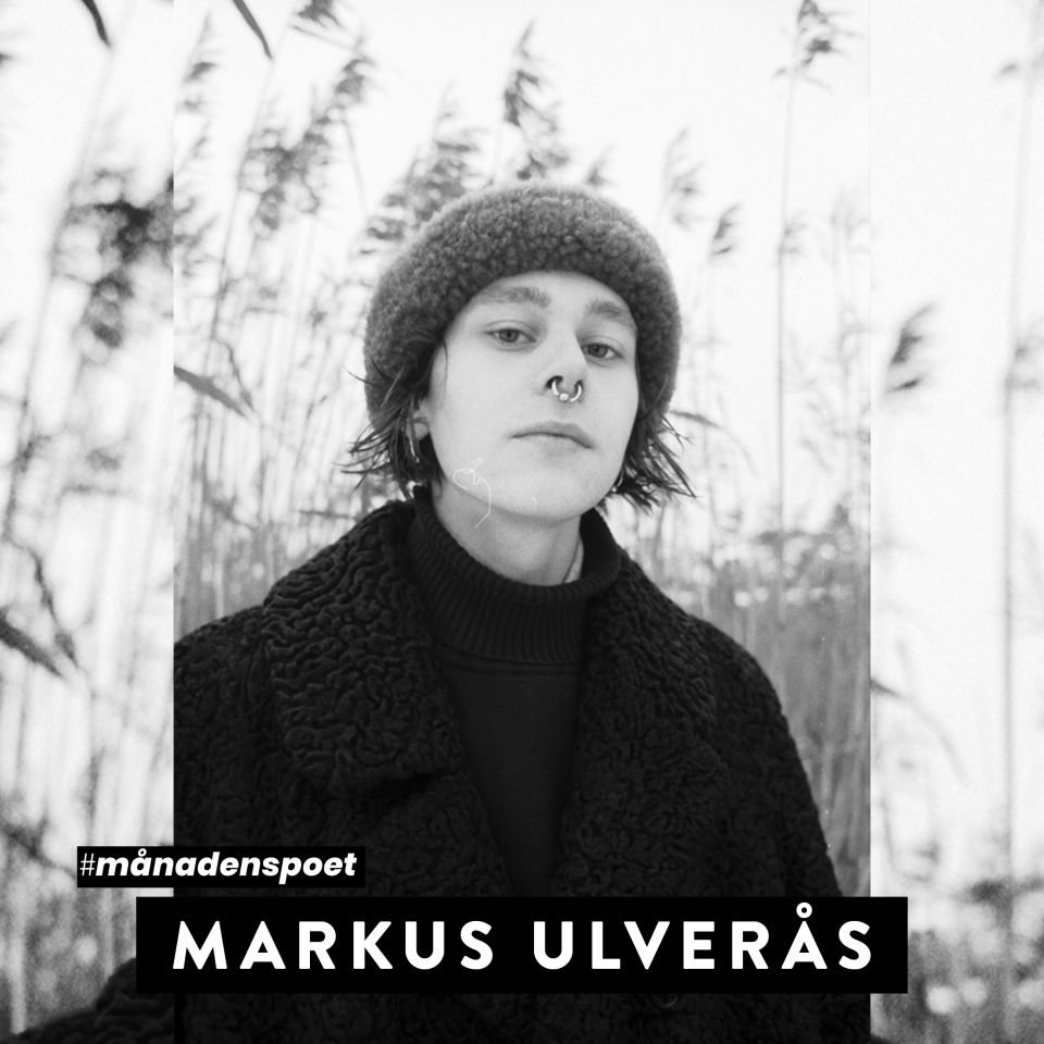 Markus Ulverås
