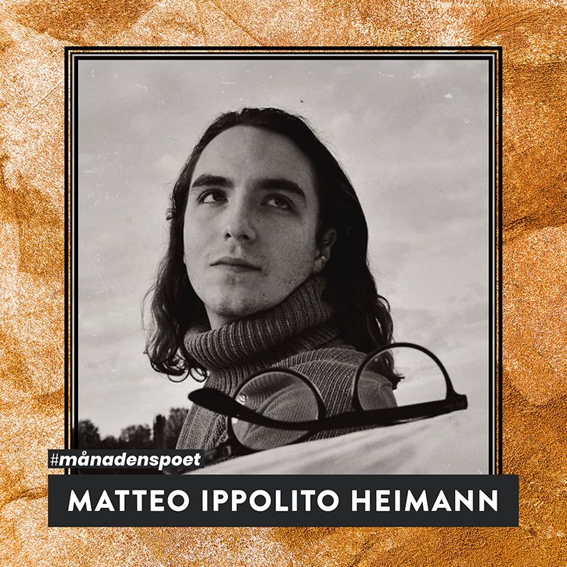 Matteo Ippolito Heimann