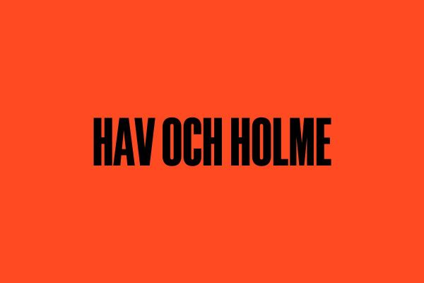 Poesi: Hav och holme