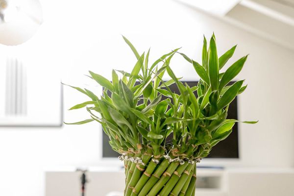 10-11 okt: Konstakuten premiär