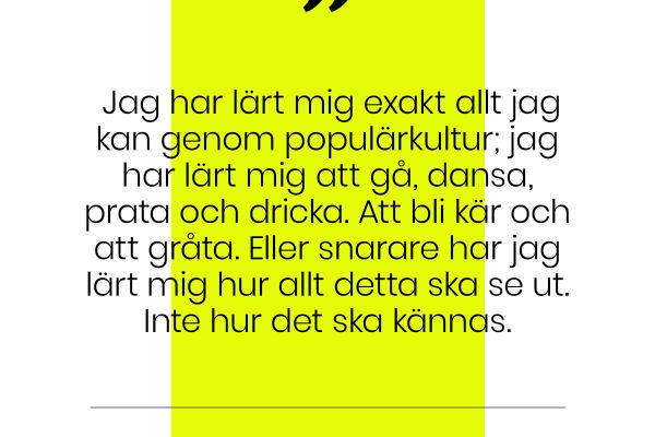 Krönika: Att se på livet från en stege placerad ovan