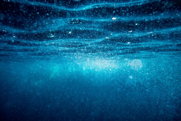 Vetenskapelser samarbetar med Ocean Blues