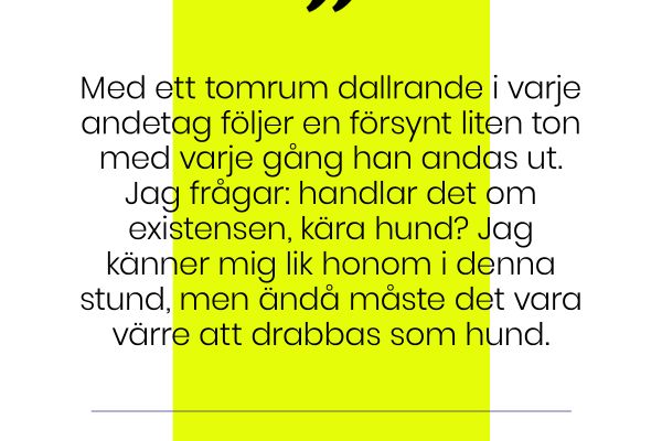 Krönika: Meningslöshet – Inne i boudoiren